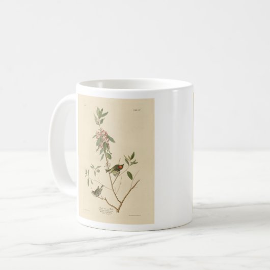 Ruby crowned Wren (Kinglet) Audubon Birds America Koffiemok (Voorkant links)