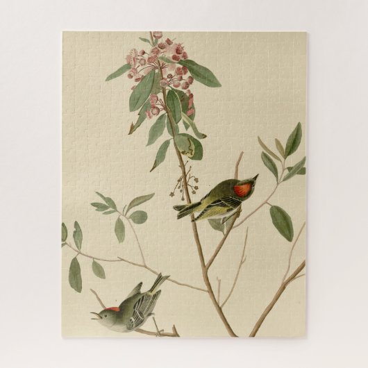 Ruby crowned Wren (Kinglet) Audubon Birds America Legpuzzel (Verticaal)