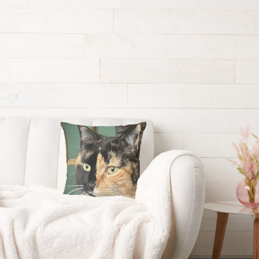 Ruby de zesjarige Tortie en Wit Kussen (Bank)