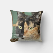 Ruby de zesjarige Tortie en Wit Kussen (Voorkant)