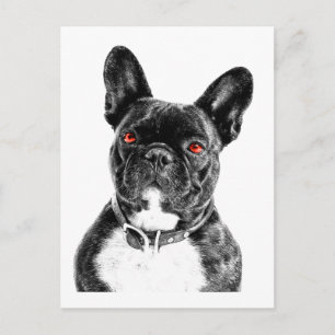 Ruby Eyed French Bulldog Portrait Briefkaart