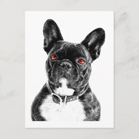 Ruby Eyed French Bulldog Portrait Briefkaart (Voorkant)
