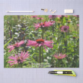 Ruby Giant Echinacea in de tuinen Tissuepapier (Craft)