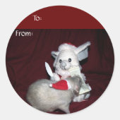 Ruby Gift Sticker (Voorkant)