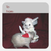 Ruby Gift Sticker (Voorkant)