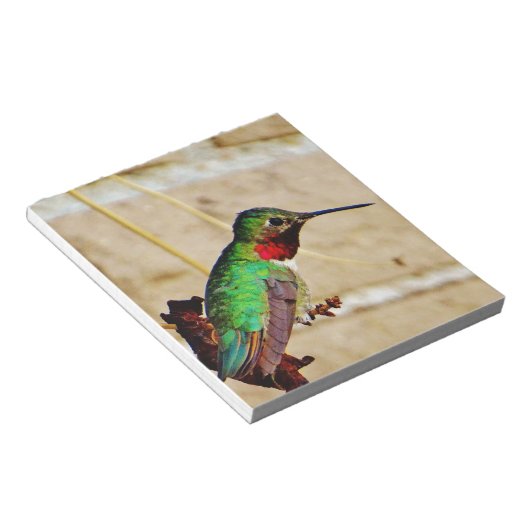Ruby Green hummingbird Notitieblok (Schuin)