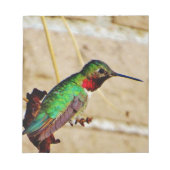 Ruby Green hummingbird Notitieblok (Voorkant)