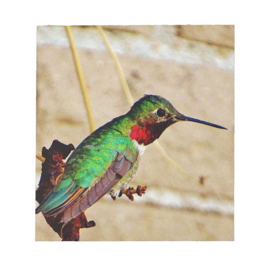 Ruby Green hummingbird Notitieblok (Voorkant)