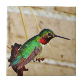 Ruby Green hummingbird Tegeltje (Voorkant)