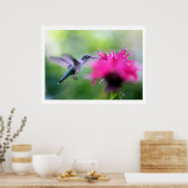 "Ruby" Hummingbird Fotografie Afdrukken Poster (Keuken)