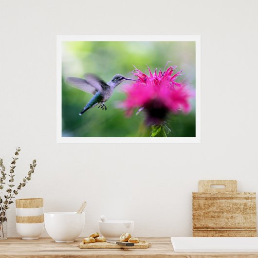 "Ruby" Hummingbird Fotografie Afdrukken Poster (Keuken)