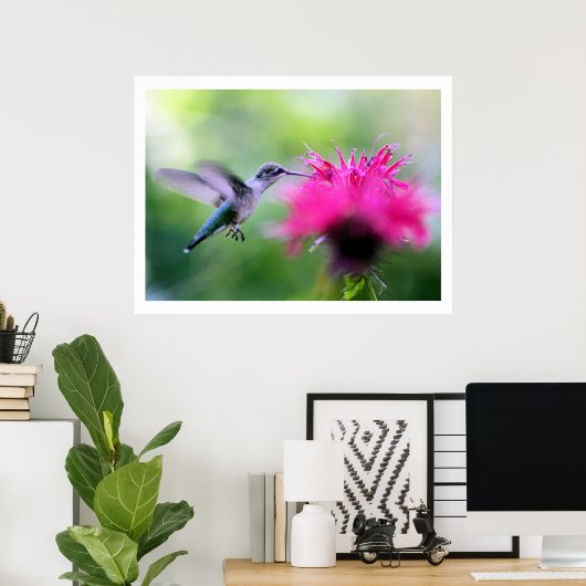 "Ruby" Hummingbird Fotografie Afdrukken Poster (Thuiskantoor)