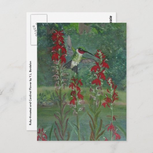 Ruby-keel en kardinaalventilator briefkaart (Voorkant / Achterkant)
