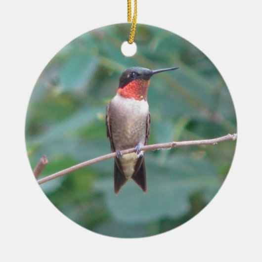 Ruby-keel Hummingbird Keramisch Ornament (Voorkant)