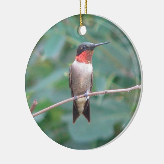 Ruby-keel Hummingbird Keramisch Ornament (Links)