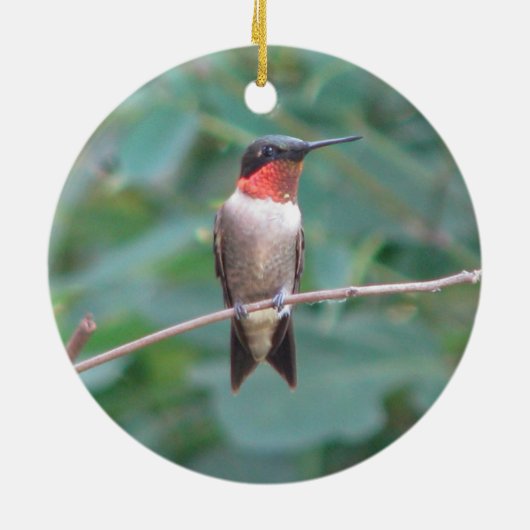 Ruby-keel Hummingbird Keramisch Ornament (Achterkant)
