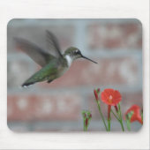 Ruby-keel & Morning Glory Mousepad Muismat (Voorkant)