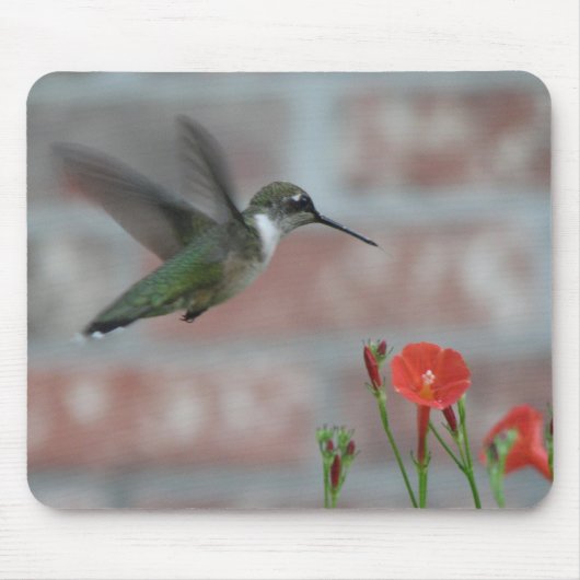 Ruby-keel & Morning Glory Mousepad Muismat (Voorkant)