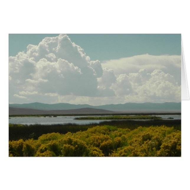 Ruby Marshes, Rabbit Brush (Voorkant Horizontaal)