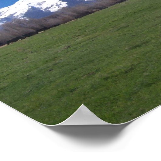 Ruby Mountains in april Poster (Hoek)