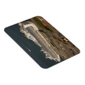 Ruby Princess Cruise, SF Magnet Magneet (Rechterzijde)