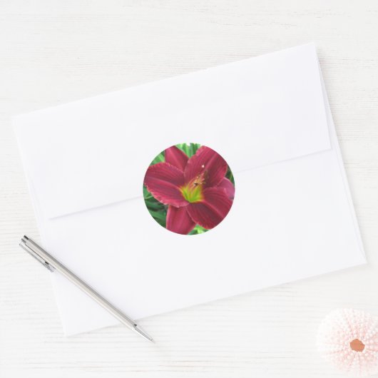 Ruby Red Daylily Sticker (Envelop)