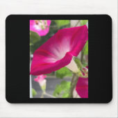 Ruby Red Morning Glory Mousepad Muismat (Voorkant)