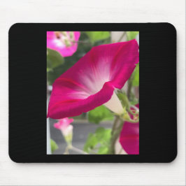 Ruby Red Morning Glory Mousepad Muismat