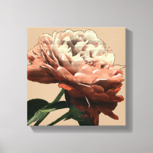 Ruby Red Rose met White Accents Canvas Afdruk