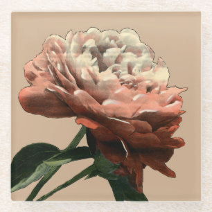 Ruby Red Rose met White Accents Glazen Onderzetter