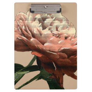 Ruby Red Rose met White Accents Klembord