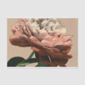 Ruby Red Rose met White Accents Tissuepapier (Voorkant)