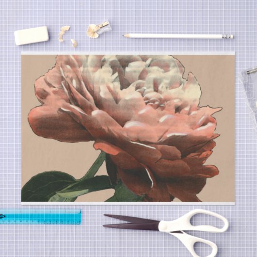 Ruby Red Rose met White Accents Tissuepapier (Craft)