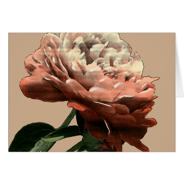 Ruby Red Rose with White Accents (Voorkant Horizontaal)