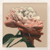 Ruby Red Rose with White Accents Glazen Onderzetter (Voorkant)