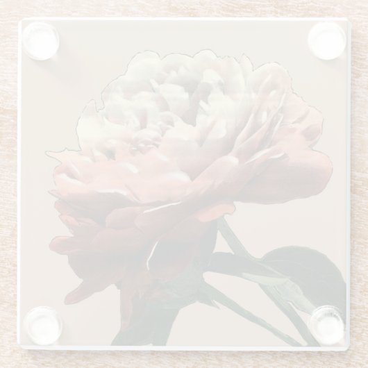 Ruby Red Rose with White Accents Glazen Onderzetter (Achterkant)