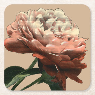 Ruby Red Rose with White Accents Kartonnen Onderzetters