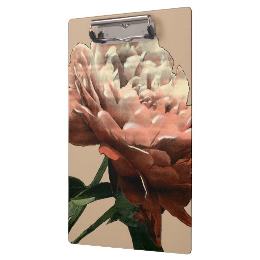 Ruby Red Rose with White Accents Klembord (Links)