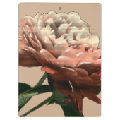 Ruby Red Rose with White Accents Klembord (Achterkant)