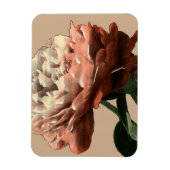 Ruby Red Rose with White Accents Magneet (Verticaal)