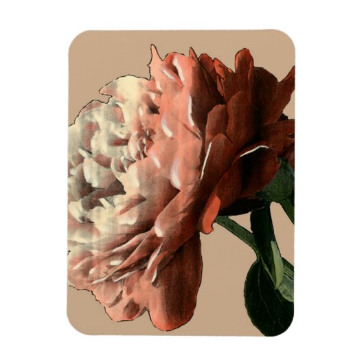 Ruby Red Rose with White Accents Magneet (Verticaal)