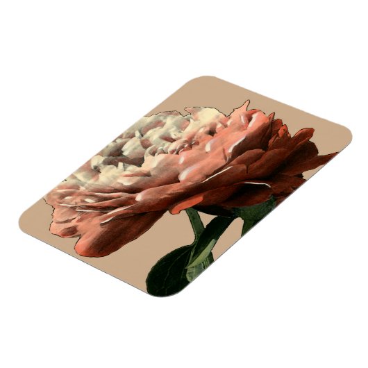 Ruby Red Rose with White Accents Magneet (Linkerzijde)