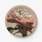 Ruby Red Rose with White Accents Papieren Bordje (Voorkant)