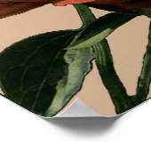 Ruby Red Rose with White Accents Poster (Hoek)