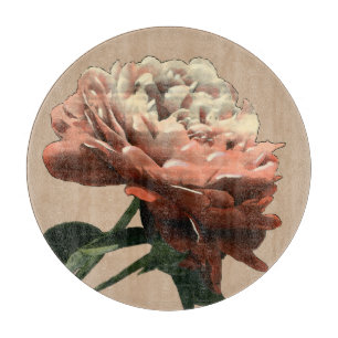 Ruby Red Rose with White Accents Snijplank