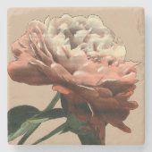 Ruby Red Rose with White Accents Stenen Onderzetter (Voorkant)