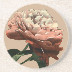 Ruby Red Rose with White Accents Zandsteen Onderzetter