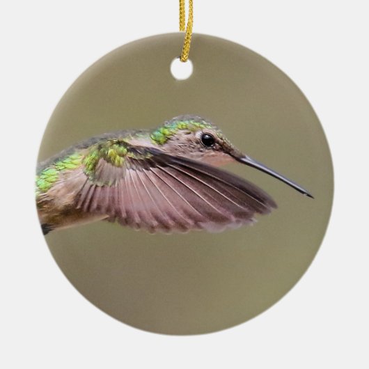 Ruby Red Throat Hummingbird Ornament (Voorkant)