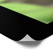 Ruby Red Zinnia Poster (Hoek)