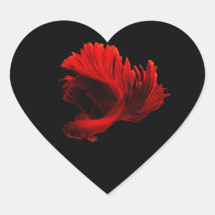 Ruby Rode Siamese Vechtvissen Hart Sticker